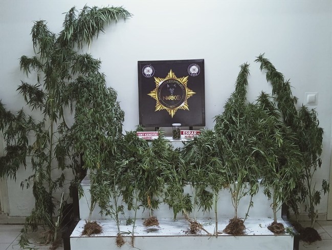 Edremit’te Uyuşturucu Operasyonu: 1 Kişi Gözaltına Alındı