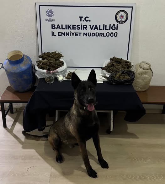 Bandırma Narkotik’ten Gönen’de Zehir Tacirlerine Darbe