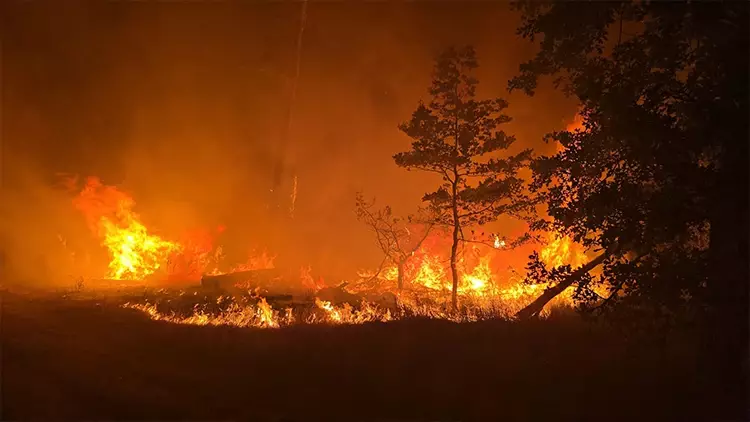 Çanakkale’de Orman Yangınında 348 Vatandaş Kurtarıldı – Sahil Güvenlik Alarmdaydı