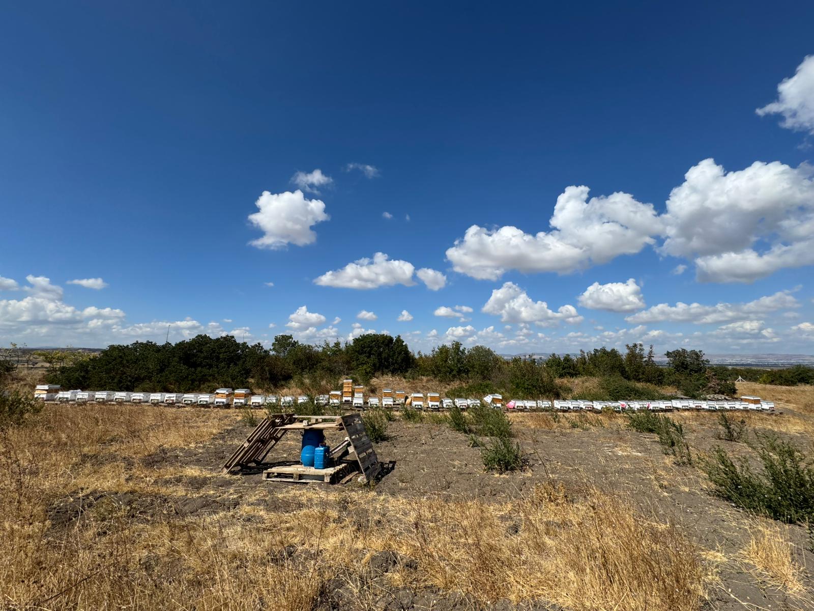 BAÜN’den Arıcılıkta Çevre Dostu İnovasyon