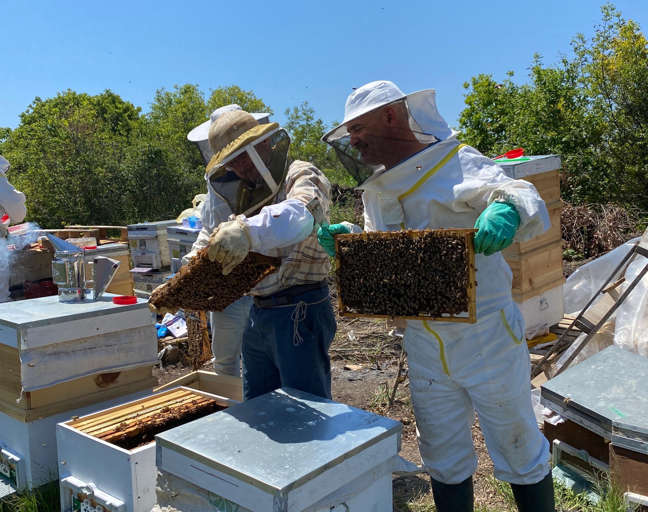 BAÜN’den Arıcılıkta Çığır Açan Proje: Doğal ve Kalıntısız Bal Üretiminde Büyük Başarı