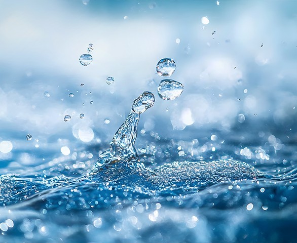 New York’ta “Sıfır Atık Mavi – Damla Damla” Sergisi Açılıyor