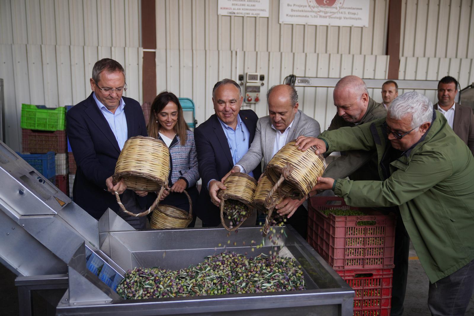 Ayvalık’ta Zeytin ve Kültürle Dolu Bir Festival Daha Geride Kaldı