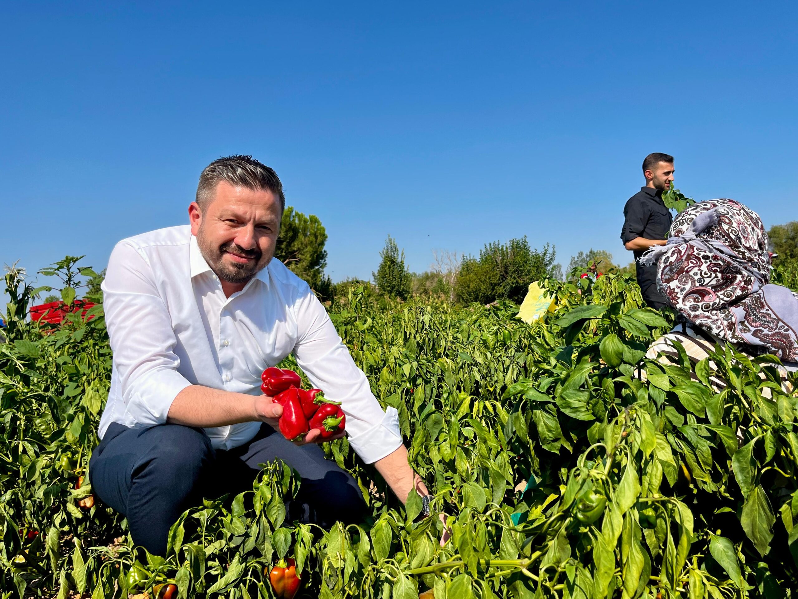 Aydemir’den Çiftçilere Müjde: 44 Milyon 372 Bin TL Destek Ödemesi Başlıyor