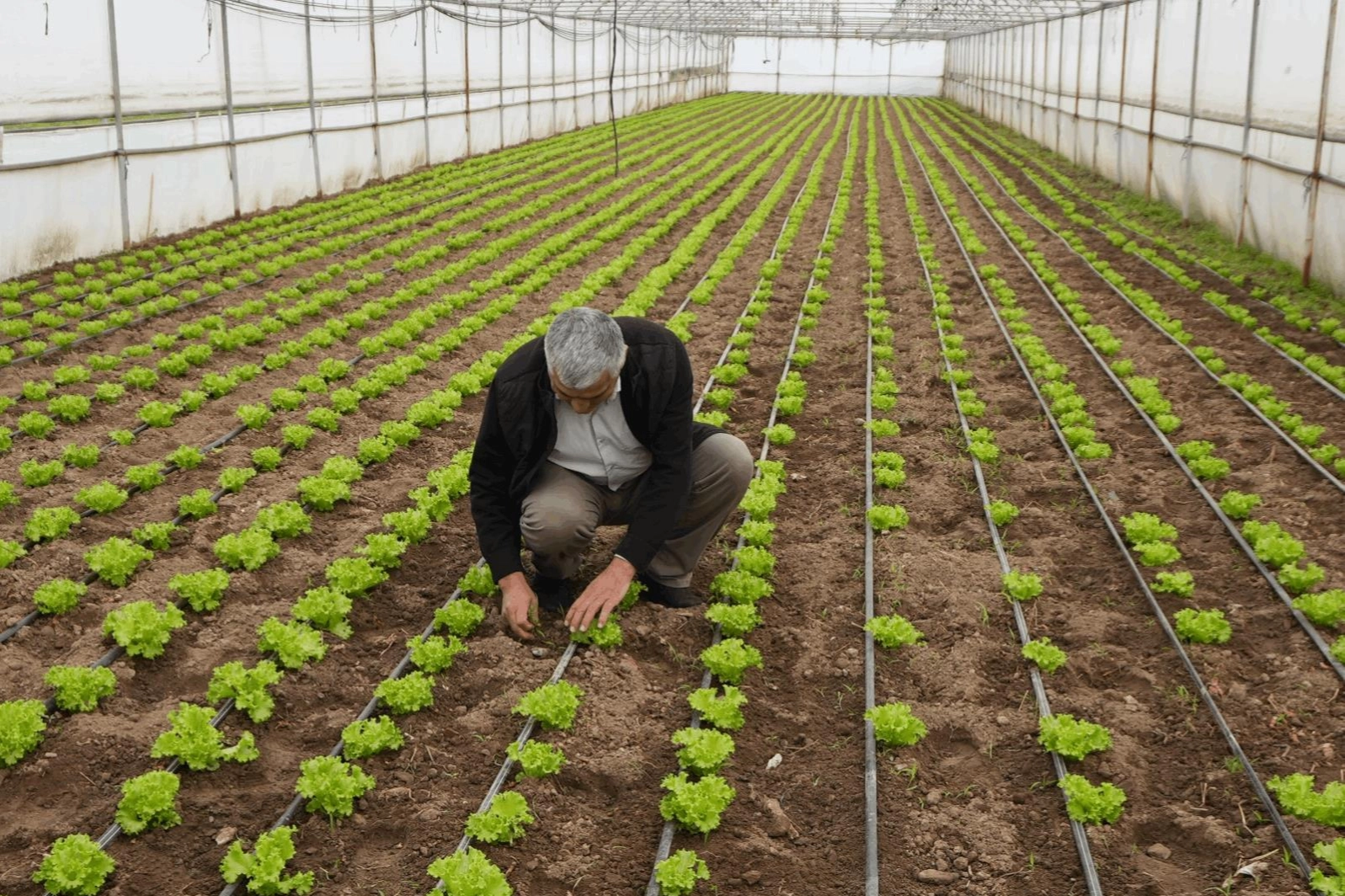 Balıkesir Büyükşehir’den üreticilere tam destek