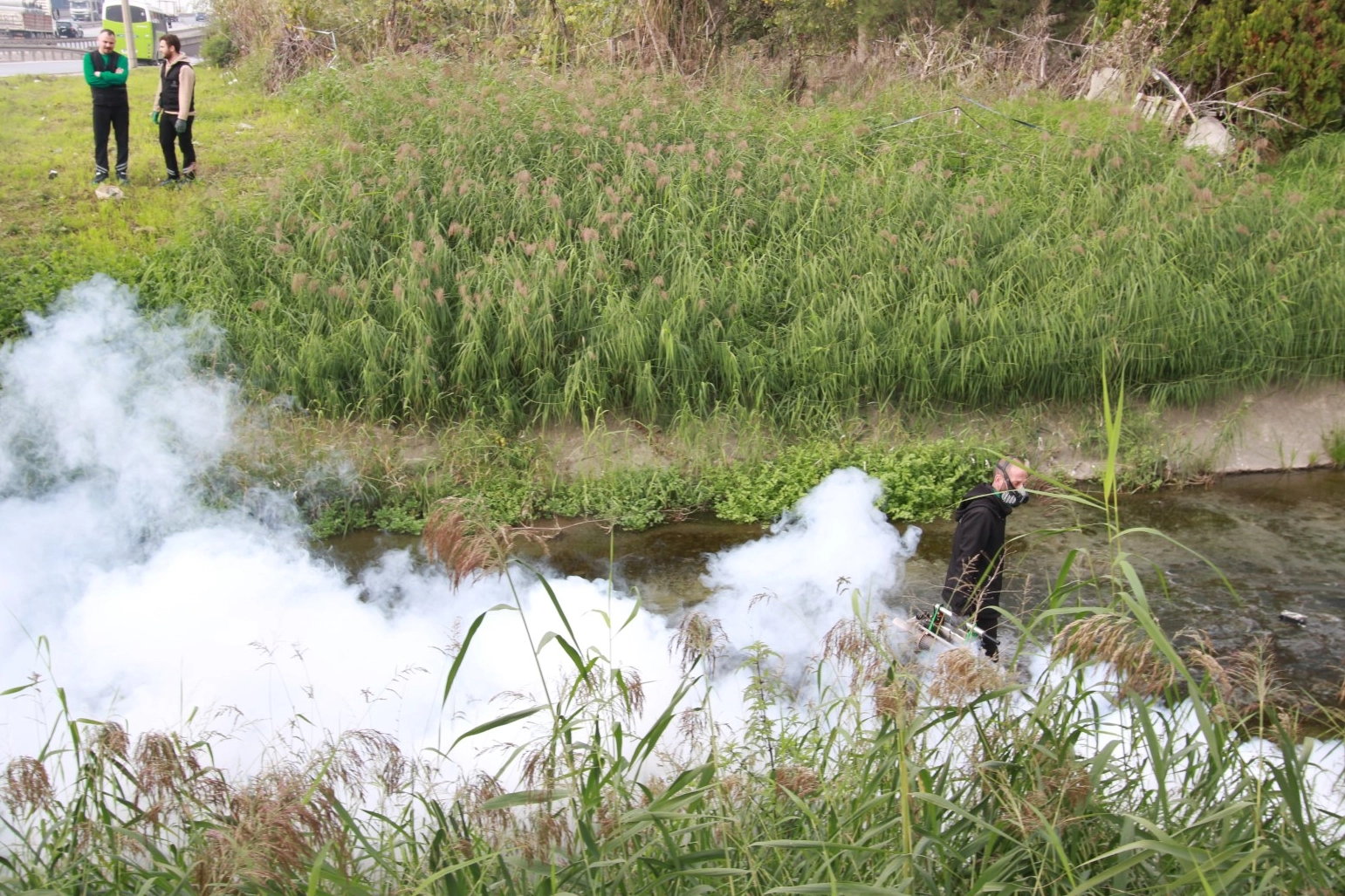 Kocaeli’de sinekle mücadele dört mevsim hız kesmiyor