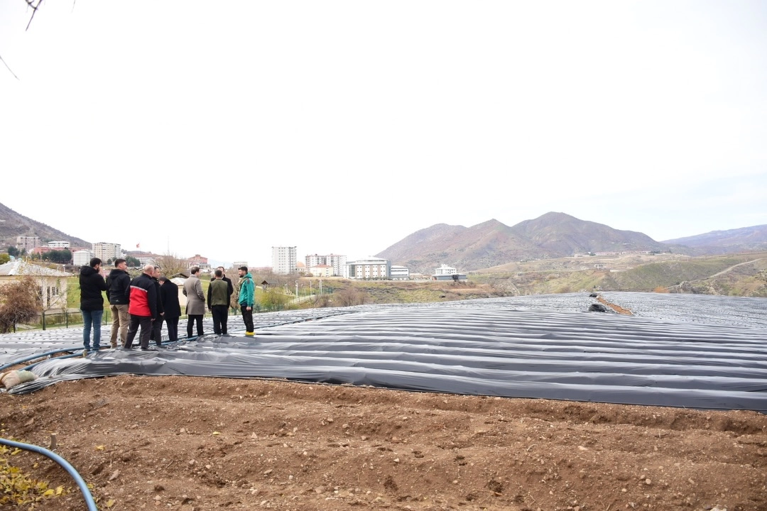 Batman Sason’da çilek üreticilerine ziyaret