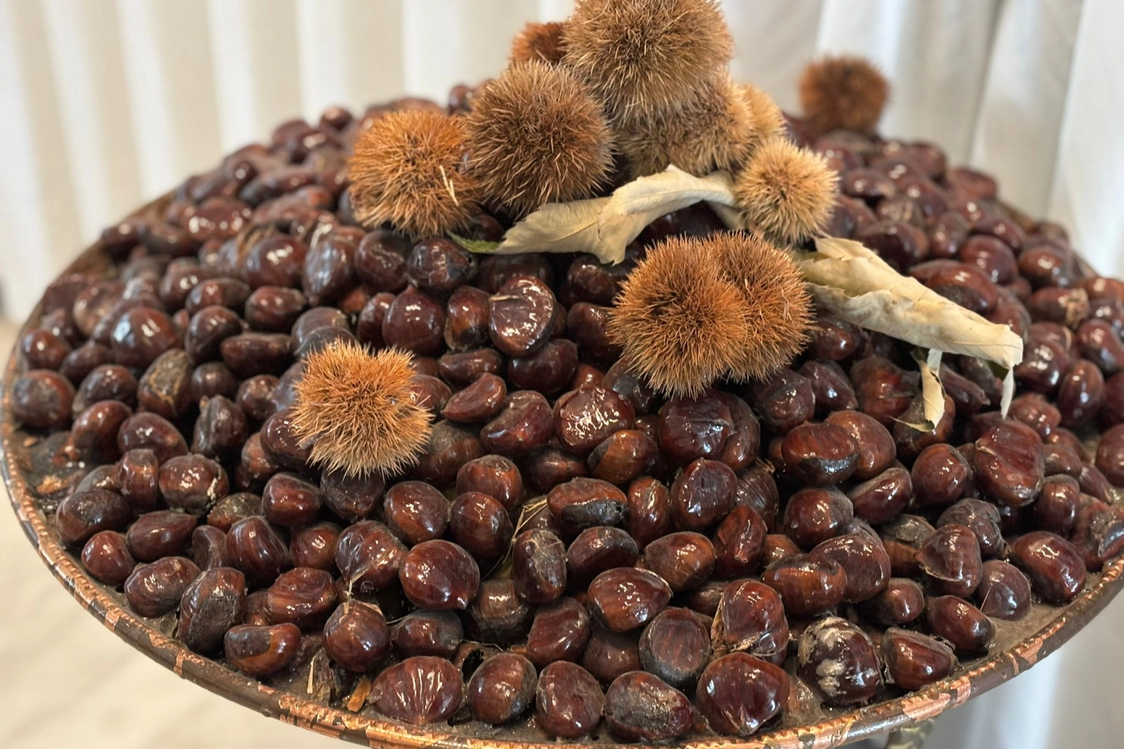 ‘Bursa Kestanesi’nin geleceği masaya yatırıldı