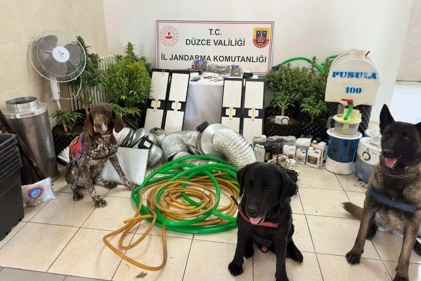 Düzce’de uyuşturucu operasyonu: 1 gözaltı