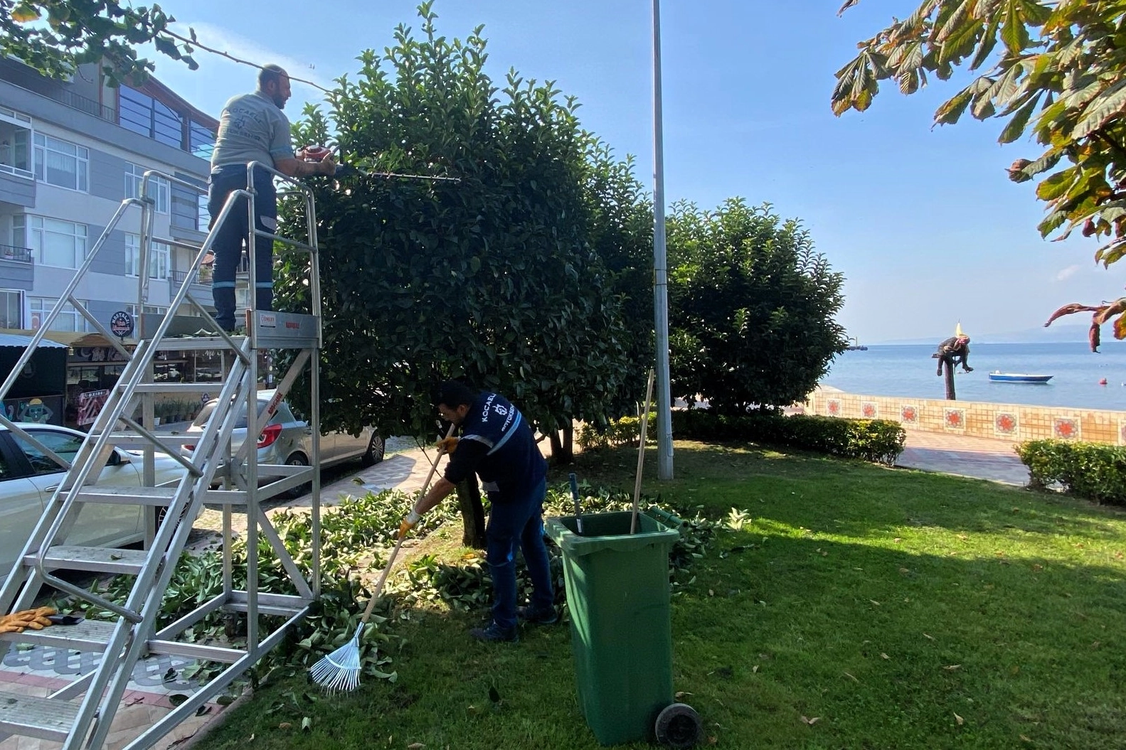 Kocaeli Büyükşehir’den yeşil alanlara özel bakım