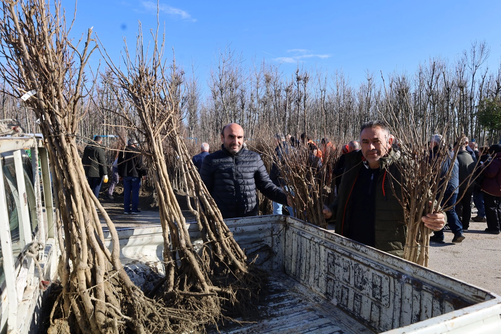 Kocaeli’de üreticilere yüzde 50 hibeli fidan dağıtımına devam