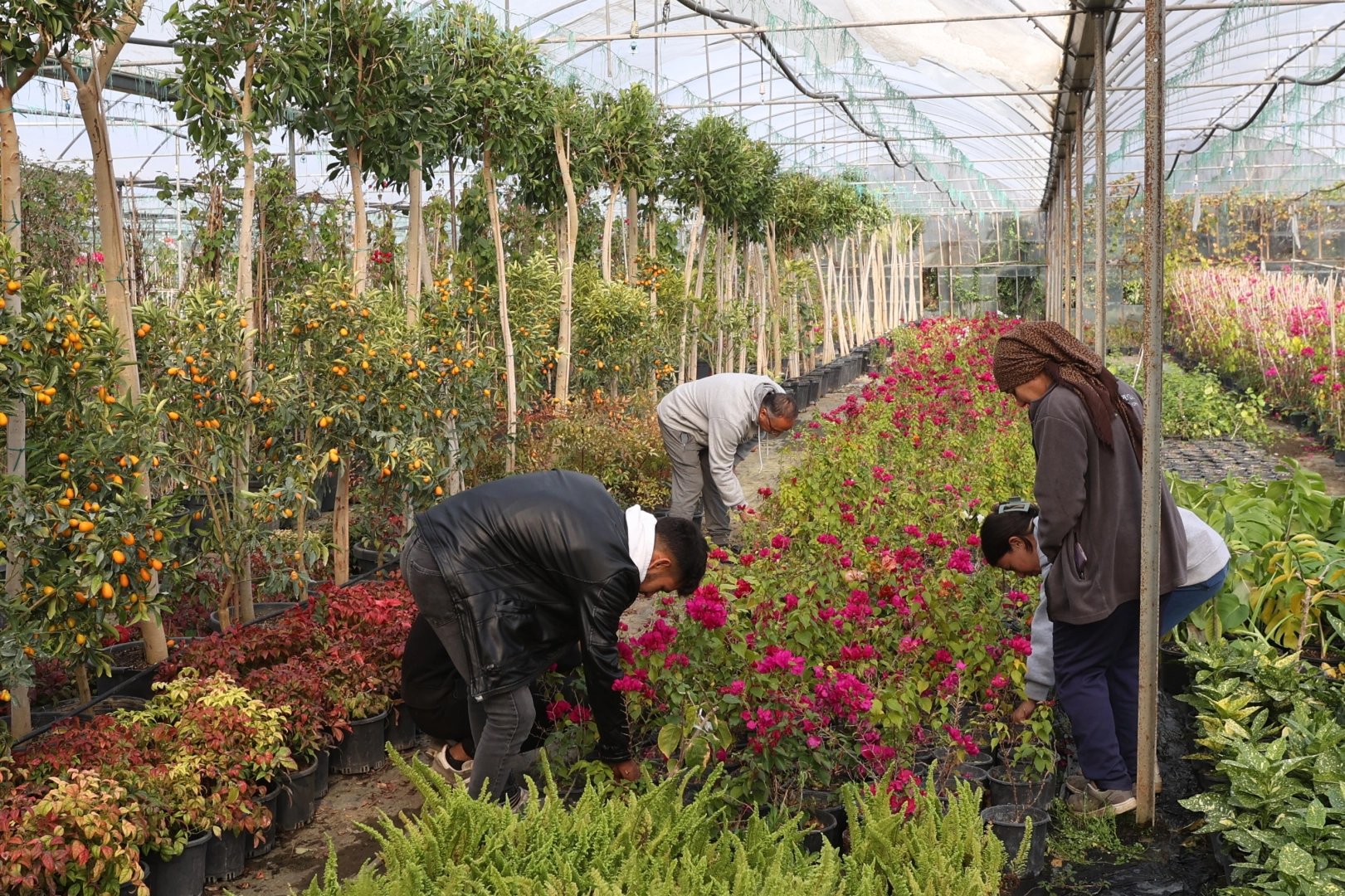 Muğla’dan yerel kalkınmaya ‘Büyük’ katkı