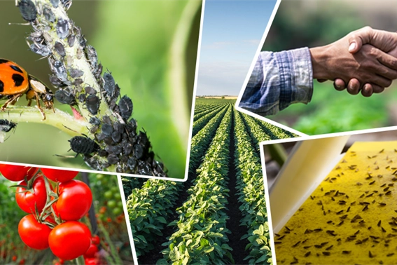 Tarımsal üretimi destekleyecek önemli düzenleme… Tarımsal destek ödemelerine ayar