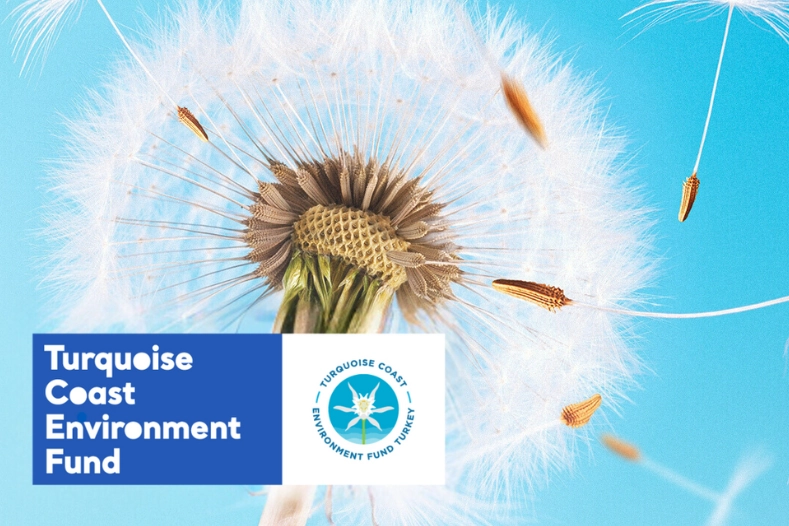 TCEF 2026 Hibe Programı’nda Türkiye’nin güney ve batı kıyılarına destek… Son başvuru 25 Ocak