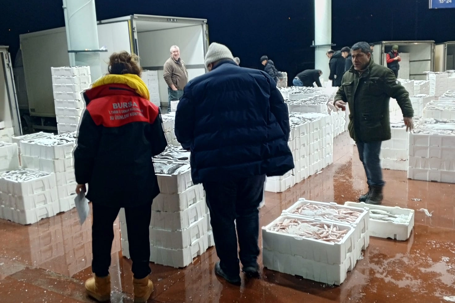 Bursa’da 150 kilogram tekir balığına el konuldu