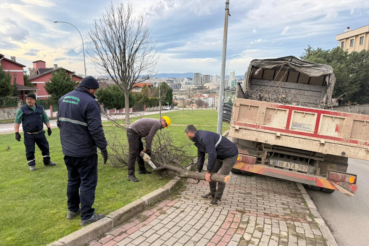 Bursa’da şiddetli lodosun devirdiği ağaçlara Osmangazi’den anında müdahale