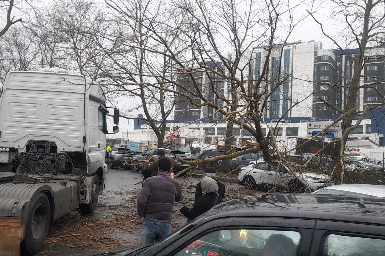 İstanbul’da fırtına: Ağaç devrildi, sahil yolları kapandı!