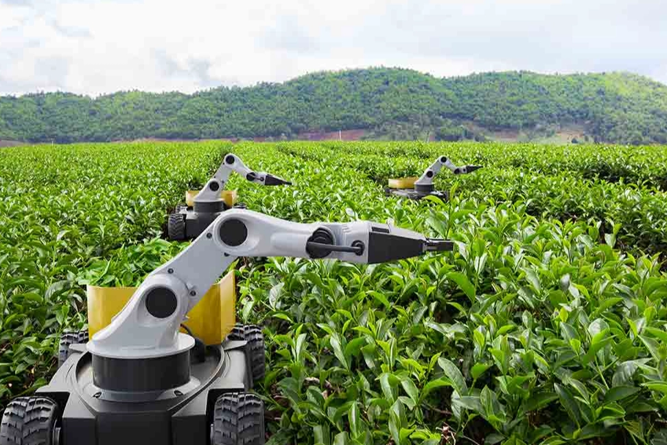 Kamu Teknoloji Platformu 2026’yı ‘Kamusal Zekâ Yılı’ ilan etti… Kamuda ‘metal yaka’ dönemi başlıyor