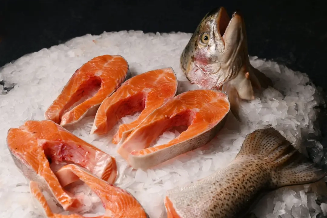 Karadenizin gururu… Türk somonu su ürünleri ihracatının yeni lokomotifi