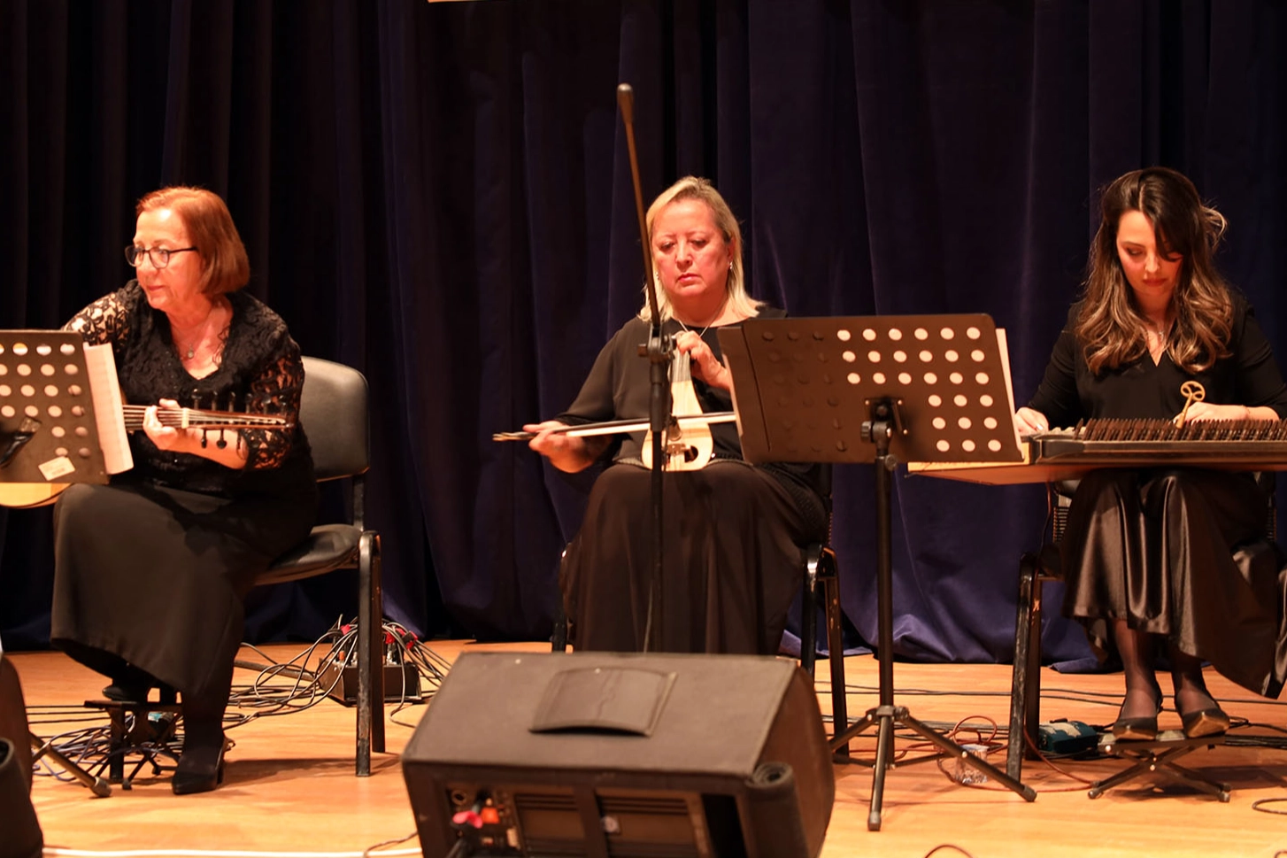 Sakarya’da “Unutulmayan Şarkılar” yoğun ilgi gördü