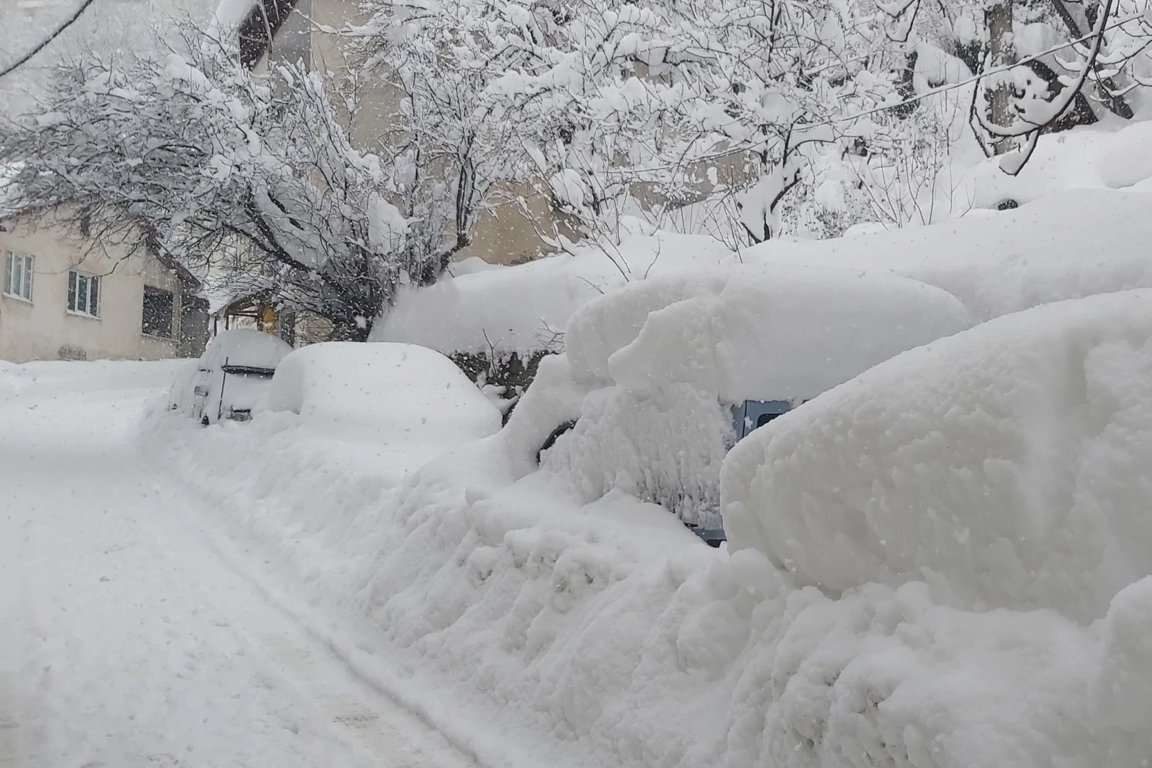 AFAD’dan Doğu ve Batı Karadeniz ile Doğu Anadolu’ya çığ uyarısı!