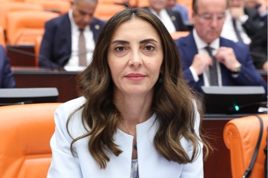 CHP’li Altaca Kayışoğlu’ndan ‘alt komisyon’ çağrısı