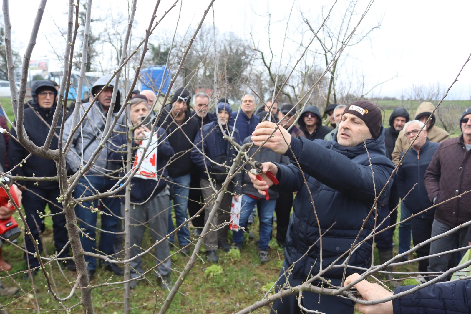 İzmit’te üreticilere uygulamalı budama eğitimi