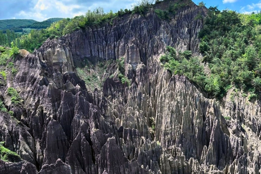Korunan alan sayısı 692’ye yükseldi