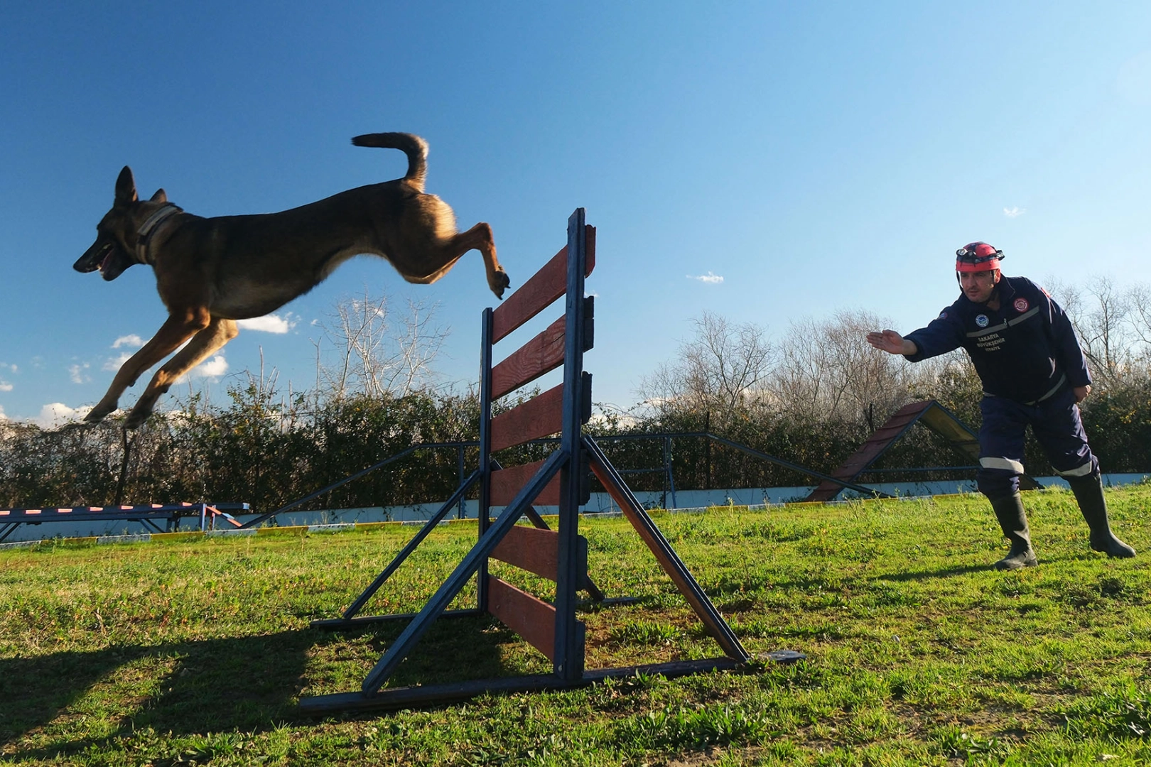 Sakarya’da Reina, Ateş, Google ve Labrador en zor anda ‘umut’ olmaya hazır kıta