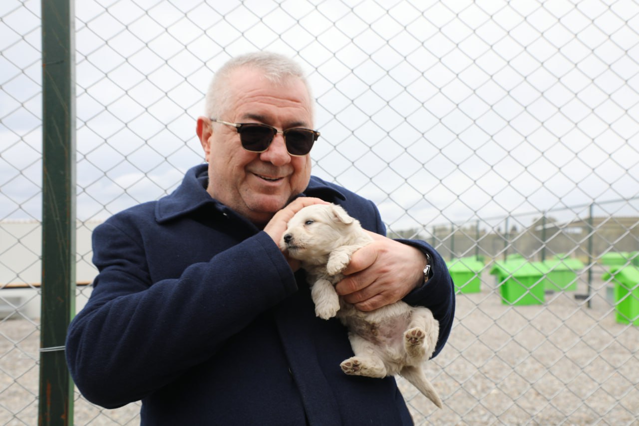 EDREMİT’TE CAN DOSTLAR İÇİN DOĞAL YAŞAM ALANI AÇILIYOR