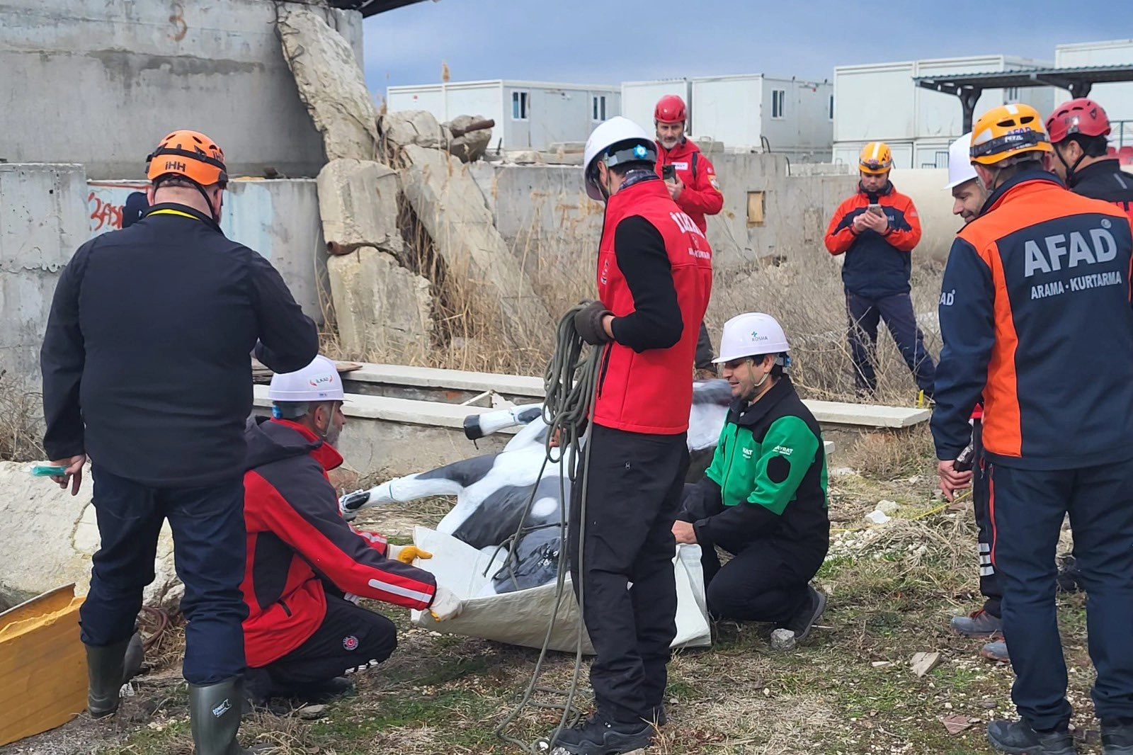 AFAD’dan uluslararası iş birliğiyle hayvan koruma projesi… RESQ-ANIMALS başladı