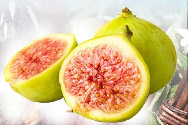 Balıkesir Büyükşehir’den incir fidanı desteği