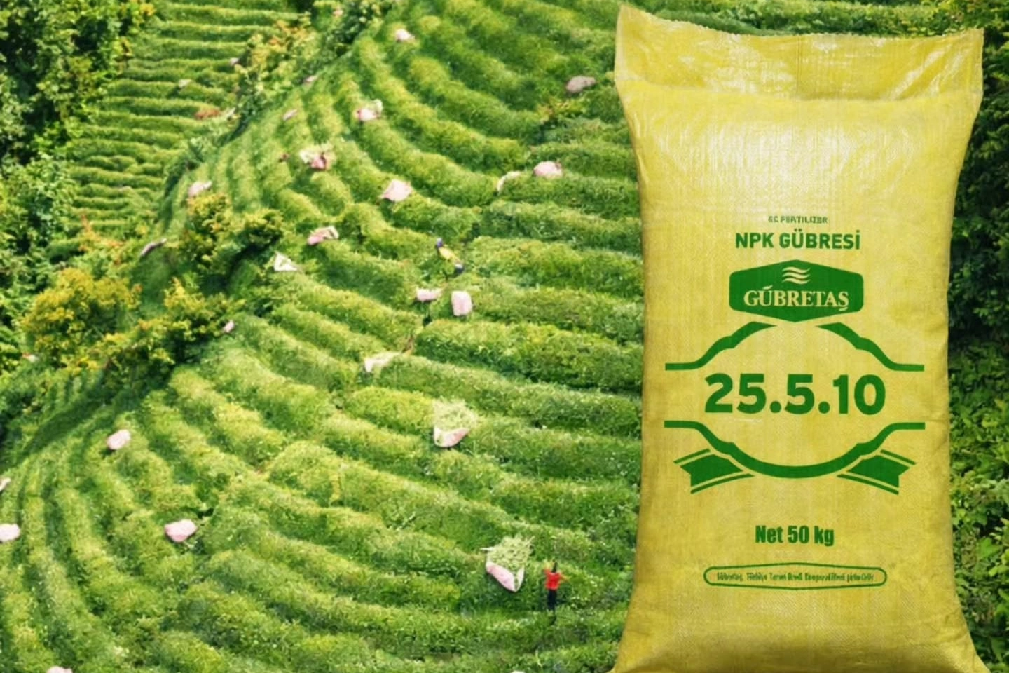 GÜBRETAŞ’tan gübre arzı açıklaması: Tarım Kredi’de gübre satışı durmadı!