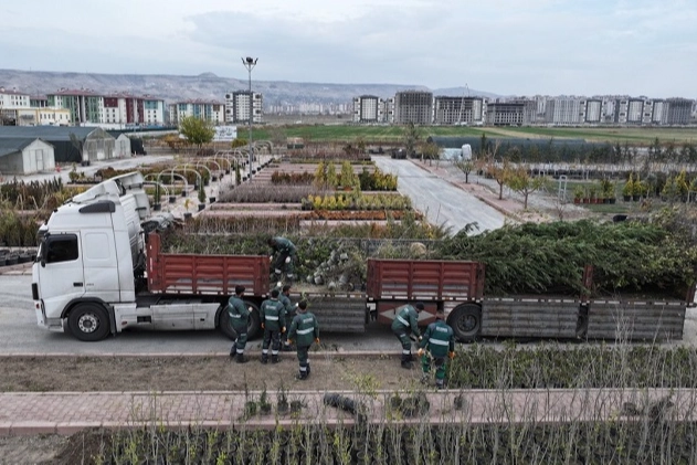 Kayseri Kocasinan’dan ağaç dikme rekoru