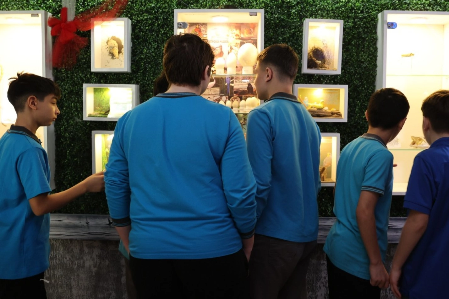 Samsun’da ortaokul öğrencilerinden okulda Doğa Müzesi