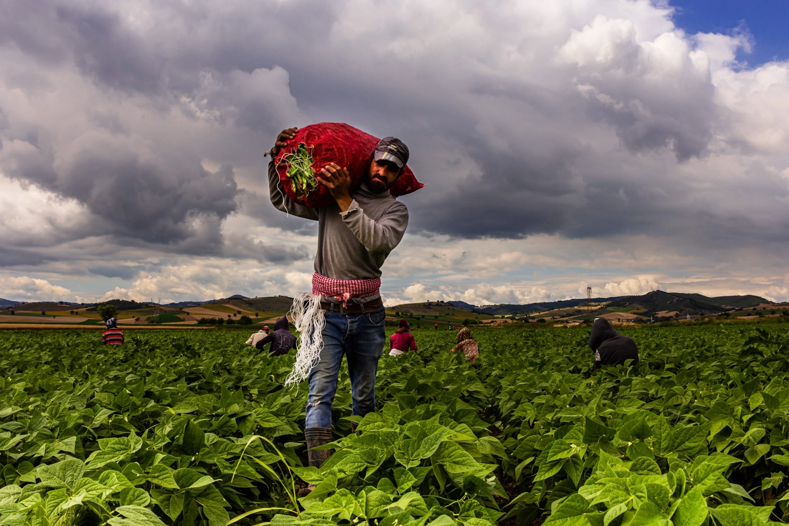 Bursa Yenişehir’de tarımı geliştiren, sanayi ve ticareti büyüten anlayış hakim