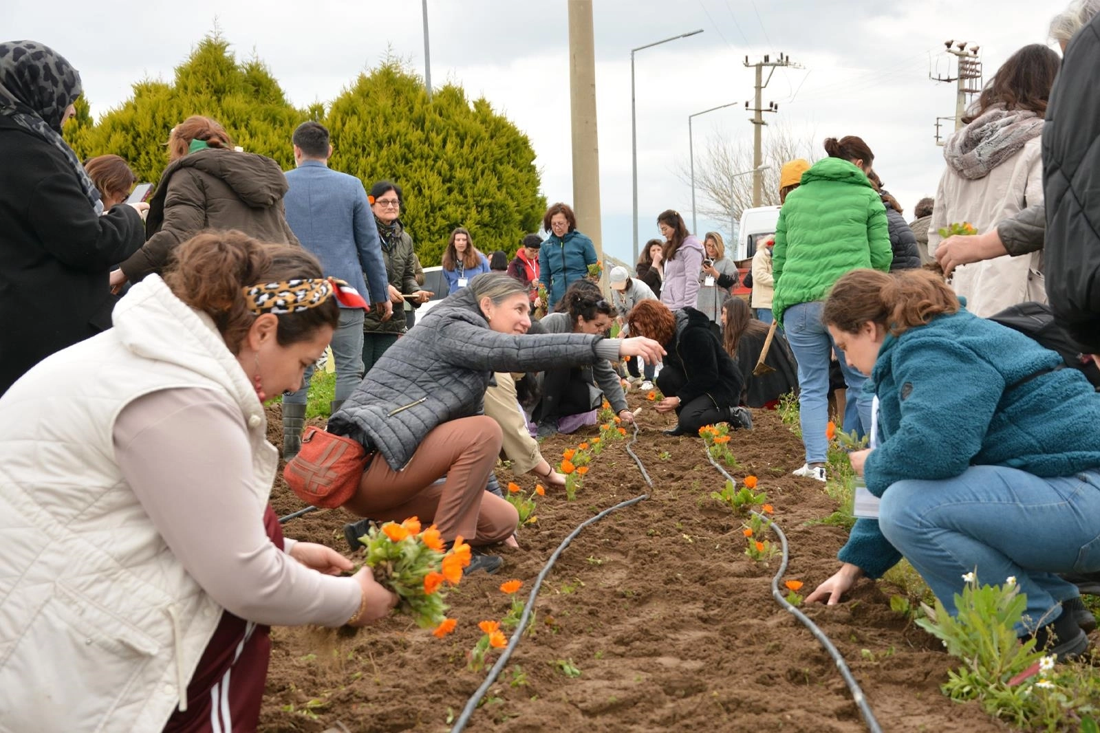 Balıkesir Büyükşehir’den tıbbı ve aromatik bitkiler yetiştiriciliği kursu