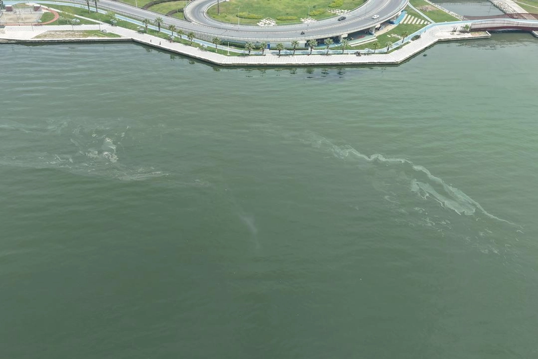 İzmir Körfezi’nde kirlilikte 10’uncu tespit