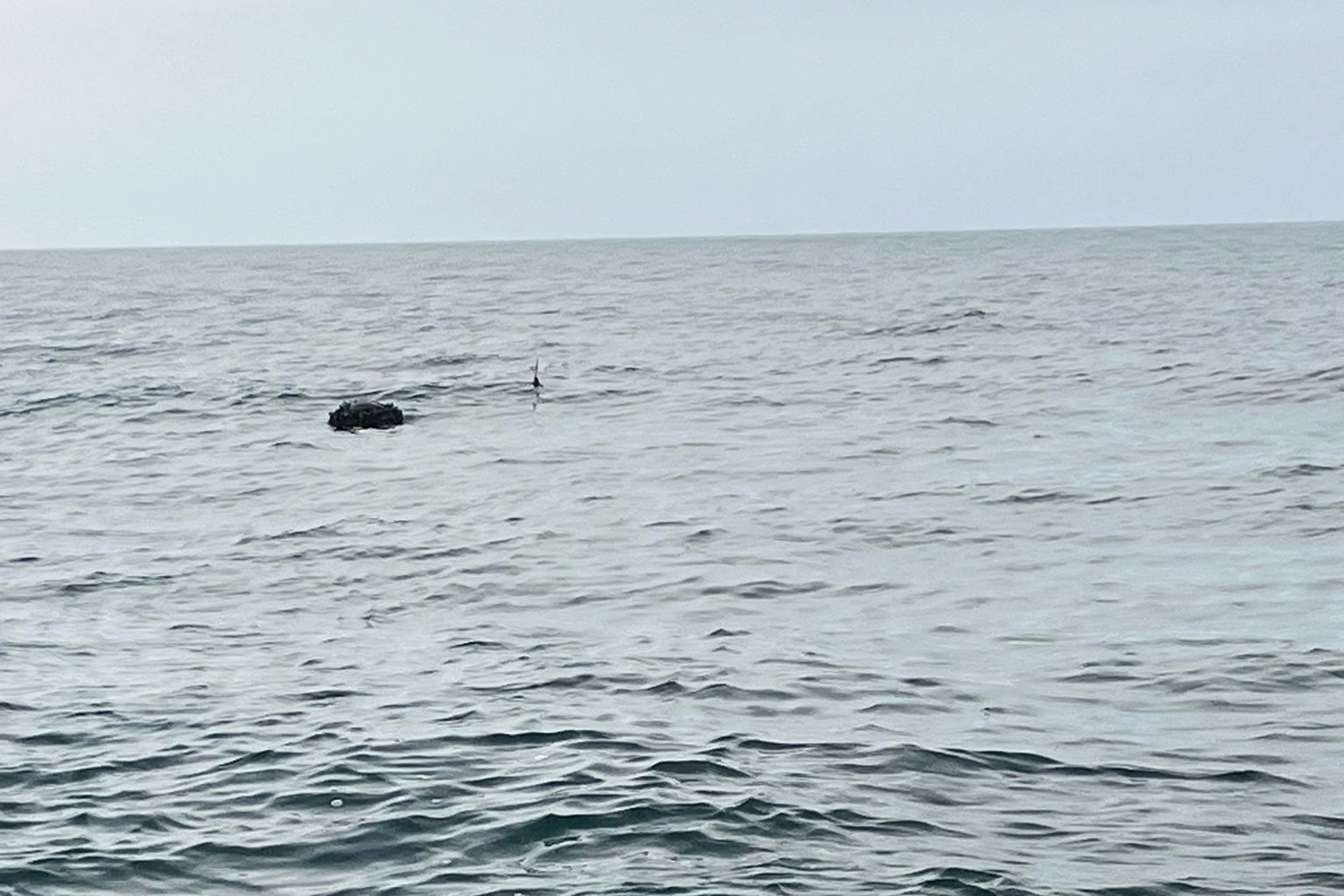 Karadeniz’deki şüpheli mayın SAS timlerince imha edildi!