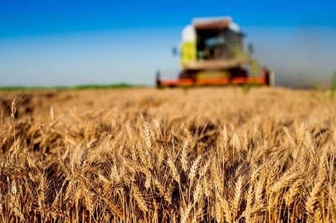 Kırsal kalkınma yatırımlarında 10 milyar TL’lik destek başladı