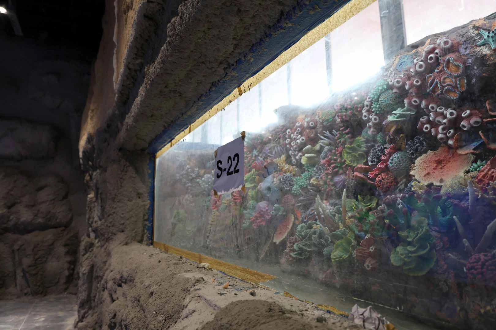 Kocaeli ‘akvaryum’ için geri sayım başladı… 30 farklı akvaryum eşsiz gezi yaşatacak