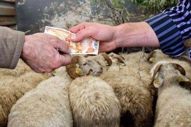 2026 Yılı Kurban Hizmetleri Tebliği ‘Resmi’leşti… İstanbul’a kurbanlık girişleri 11 Mayıs’ta başlıyor