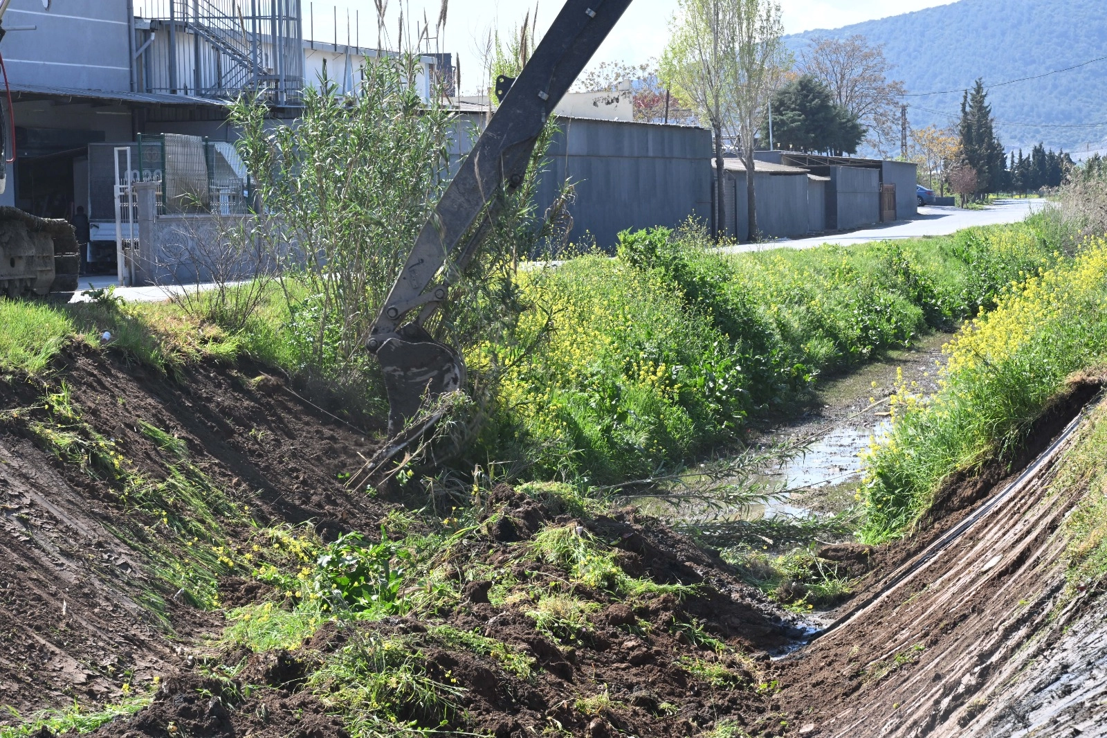 Manisa Akhisar’da dere temizliği
