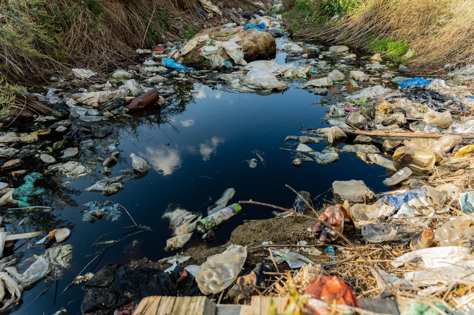 Prof. Dr. Ünüsan’dan mikroplastik uyarısı: Bitki bazlı çözümler umut veriyor ancak…