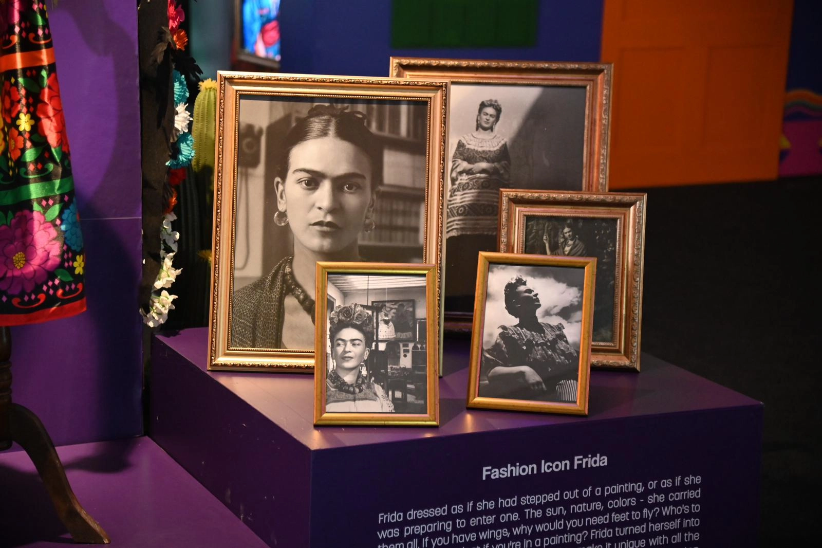 Manisa’da “Frida” rekoru