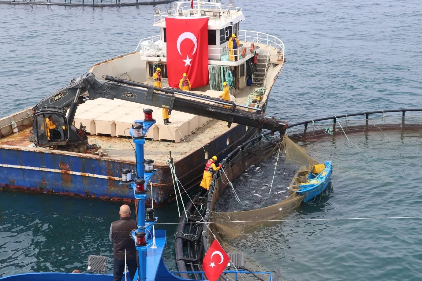 Türk somonu ihracatta rekor yolunda… Üretim 75 bin tona ulaştı
